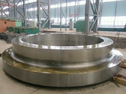 Supply large steel cast thrust ring Logo