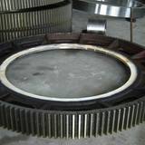 supply reducer gear with precision machining by ex Logo