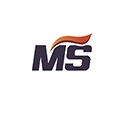 Dingzhou Mengsheng Nodular Casting Co., Ltd. Logo