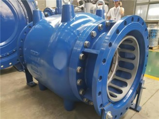 Turbines and pump valves Logo